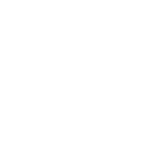 Chemicals & Plastics