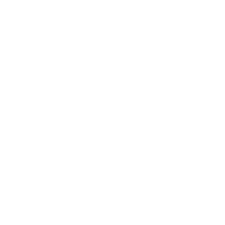 Business & Management Consulting