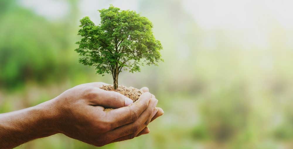 Money Grows On This Tree As Discount Retailers Crush Estimates - Investor's Business Daily